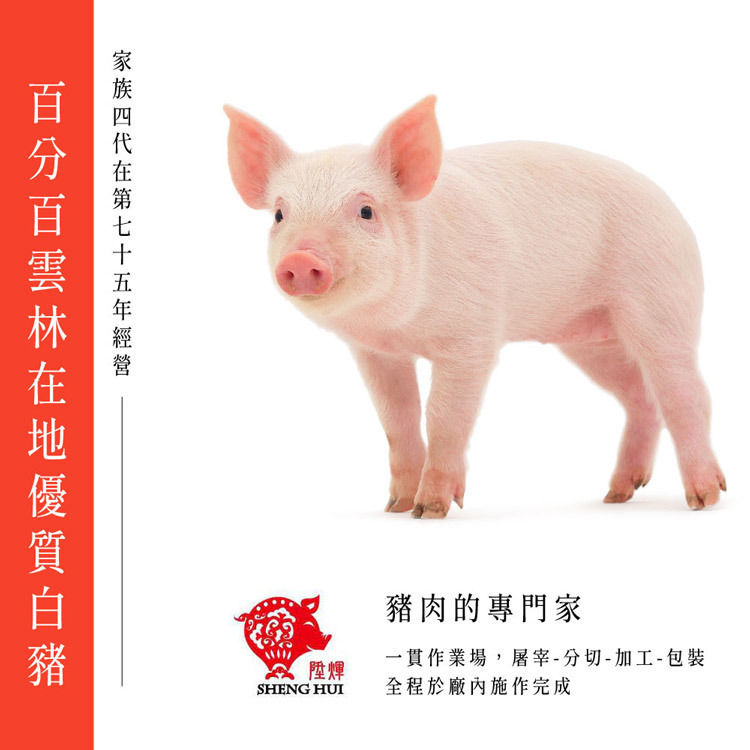 陞煇-原味豬肉絲-160公克-嚴選砥家