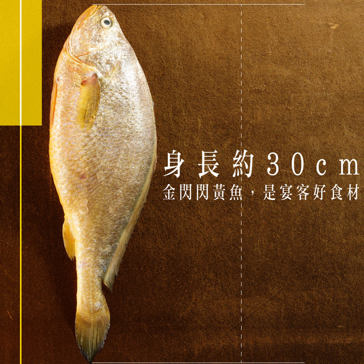 金閃閃-鮮嫩急凍大黃魚-600-700g1隻-嚴選砥家