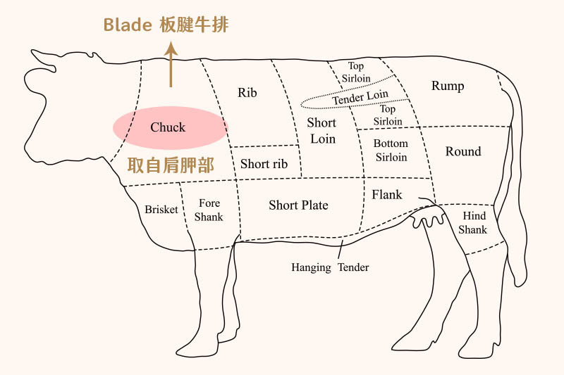 板腱牛肉部位圖